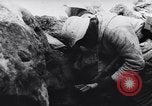 Image of German military operations against Soviet forces in winter Germany, 1944, second 19 stock footage video 65675038103
