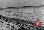 Image of German military operations against Soviet forces in winter Germany, 1944, second 46 stock footage video 65675038103
