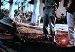 Image of American Military Advisors Philippines, 1968, second 48 stock footage video 65675038110