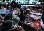 Image of American Military Advisors Philippines, 1968, second 53 stock footage video 65675038110