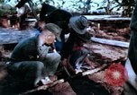 Image of American Military Advisors Philippines, 1968, second 54 stock footage video 65675038110