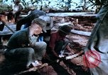 Image of American Military Advisors Philippines, 1968, second 55 stock footage video 65675038110