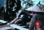 Image of American Military Advisors Philippines, 1968, second 60 stock footage video 65675038110