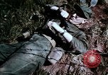 Image of Fort Bnning United States USA, 1965, second 20 stock footage video 65675038113