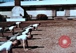 Image of United States Army Reserves United States USA, 1968, second 45 stock footage video 65675038114