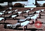 Image of United States Army Reserves United States USA, 1968, second 47 stock footage video 65675038114