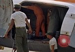 Immagine di Stati Uniti marines Il Vietnam, 1962, secondo 59 filmato di repertorio 65675038124