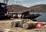 Image of Vietnamese ranger Vietnam, 1965, second 13 stock footage video 65675038129