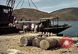 Image of Vietnamese ranger Vietnam, 1965, second 14 stock footage video 65675038129