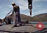 Image of Vietnamese ranger Vietnam, 1965, second 33 stock footage video 65675038129