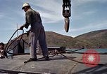 Image of Vietnamese ranger Vietnam, 1965, second 34 stock footage video 65675038129
