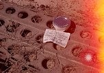Image of 1st Cavalry Division Nha Trang Vietnam, 1965, second 1 stock footage video 65675038137