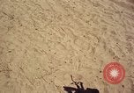 Image of 1st Cavalry Division Nha Trang Vietnam, 1965, second 31 stock footage video 65675038138