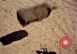 Image of 1st Cavalry Division Nha Trang Vietnam, 1965, second 33 stock footage video 65675038138