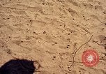 Image of 1st Cavalry Division Nha Trang Vietnam, 1965, second 24 stock footage video 65675038141