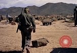 Image of 1st Cavalry Division Nha Trang Vietnam, 1965, second 48 stock footage video 65675038141