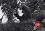 Standbild 82nd Airborne Division Saint Marcouf Frankreich, 1944, aus Sekunde 26 historischem Filmmaterial Videoclip 65675038159