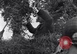 Standbild 82nd Airborne Division Saint Marcouf Frankreich, 1944, aus Sekunde 27 historischem Filmmaterial Videoclip 65675038159