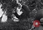 Standbild 82nd Airborne Division Saint Marcouf Frankreich, 1944, aus Sekunde 29 historischem Filmmaterial Videoclip 65675038159