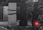 Standbild 82nd Airborne Division Saint Marcouf Frankreich, 1944, aus Sekunde 34 historischem Filmmaterial Videoclip 65675038159