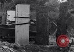 Standbild 82nd Airborne Division Saint Marcouf Frankreich, 1944, aus Sekunde 37 historischem Filmmaterial Videoclip 65675038159