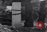 Standbild 82nd Airborne Division Saint Marcouf Frankreich, 1944, aus Sekunde 38 historischem Filmmaterial Videoclip 65675038159