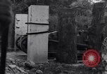 Standbild 82nd Airborne Division Saint Marcouf Frankreich, 1944, aus Sekunde 41 historischem Filmmaterial Videoclip 65675038159