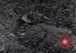 Standbild 101st Airborne Division Ravenoville Frankreich, 1944, aus Sekunde 3 historischem Filmmaterial Videoclip 65675038160