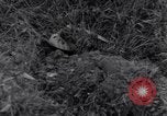 Standbild 101st Airborne Division Ravenoville Frankreich, 1944, aus Sekunde 4 historischem Filmmaterial Videoclip 65675038160