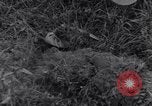 Standbild 101st Airborne Division Ravenoville Frankreich, 1944, aus Sekunde 6 historischem Filmmaterial Videoclip 65675038160