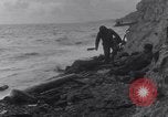 Image of United States troops Normandy France, 1944, second 4 stock footage video 65675038164