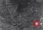 Image of United States 3rd Battalion 16th Regiment troops on D-Day Normandy France, 1944, second 61 stock footage video 65675038166