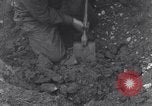 Image of United States 3rd Battalion 16th Regiment troops on D-Day Normandy France, 1944, second 62 stock footage video 65675038166