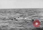 Standbild alliierten Truppen Frankreich, 1944, aus Sekunde 10 historischem Filmmaterial Videoclip 65675038173