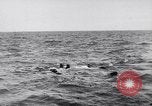 Standbild alliierten Truppen Frankreich, 1944, aus Sekunde 11 historischem Filmmaterial Videoclip 65675038173