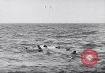 Standbild alliierten Truppen Frankreich, 1944, aus Sekunde 12 historischem Filmmaterial Videoclip 65675038173