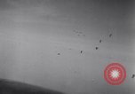 Standbild B-26 Bomber Frankreich, 1944, aus Sekunde 8 historischem Filmmaterial Videoclip 65675038179