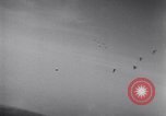 Standbild B-26 Bomber Frankreich, 1944, aus Sekunde 10 historischem Filmmaterial Videoclip 65675038179