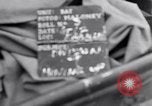 Immagine di Truppe americane Francia, 1944, secondo 3 filmato di repertorio 65675038182