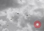 Image of US Army 9th Division France, 1944, second 4 stock footage video 65675038183
