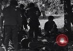 Image of injured soldier France, 1944, second 13 stock footage video 65675038191