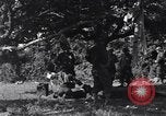 Image of injured soldier France, 1944, second 60 stock footage video 65675038191
