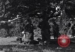 Image of injured soldier France, 1944, second 61 stock footage video 65675038191