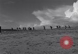 Image of American soldiers France, 1944, second 3 stock footage video 65675038195