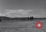 Image of American soldiers France, 1944, second 12 stock footage video 65675038195
