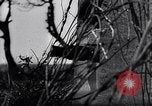 Image of Von Rundstedt and Rommel tour Atlantic Wall France, 1944, second 24 stock footage video 65675038198