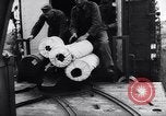Standbild 12 inch gun Frankreich, 1944, aus Sekunde 12 historischem Filmmaterial Videoclip 65675038200