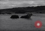 Image of Beached Large Landing Craft Infantry Normandy France, 1944, second 10 stock footage video 65675038216