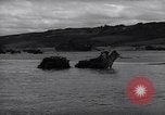 Image of Beached Large Landing Craft Infantry Normandy France, 1944, second 11 stock footage video 65675038216