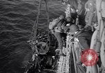 Image of American soldier reinforcements arriving in Normandy Normandy France, 1944, second 21 stock footage video 65675038221